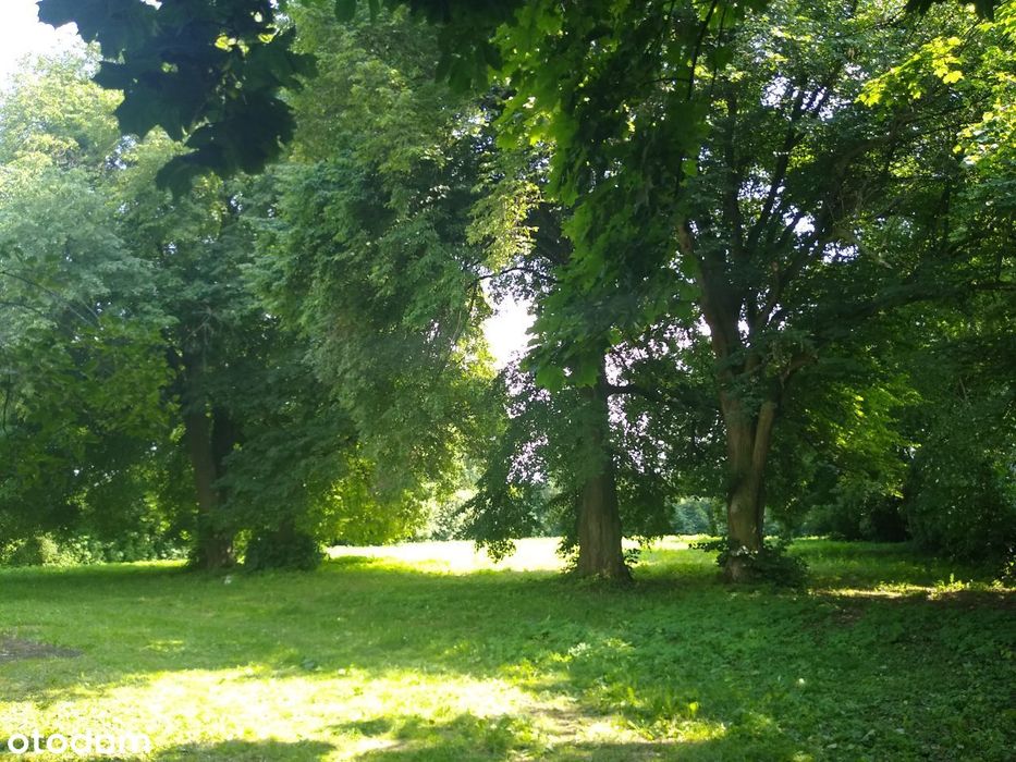 Dworek, Bereść, powiat Zamojski