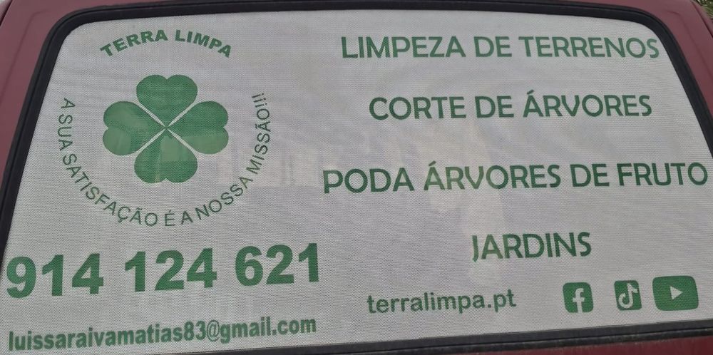 Limpeza de terreno jardim