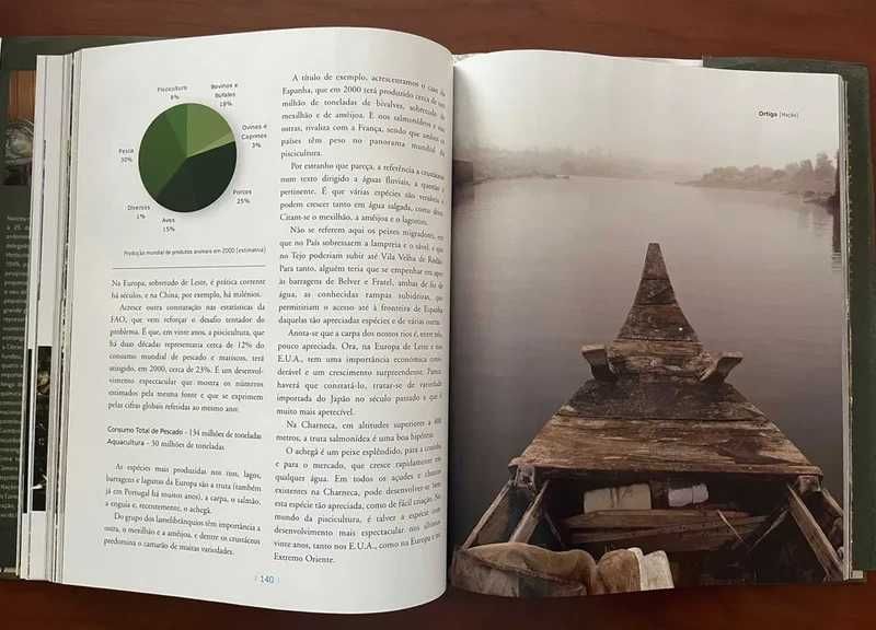 A Charneca da Beira (História do futuro)" de Sebastião Alves