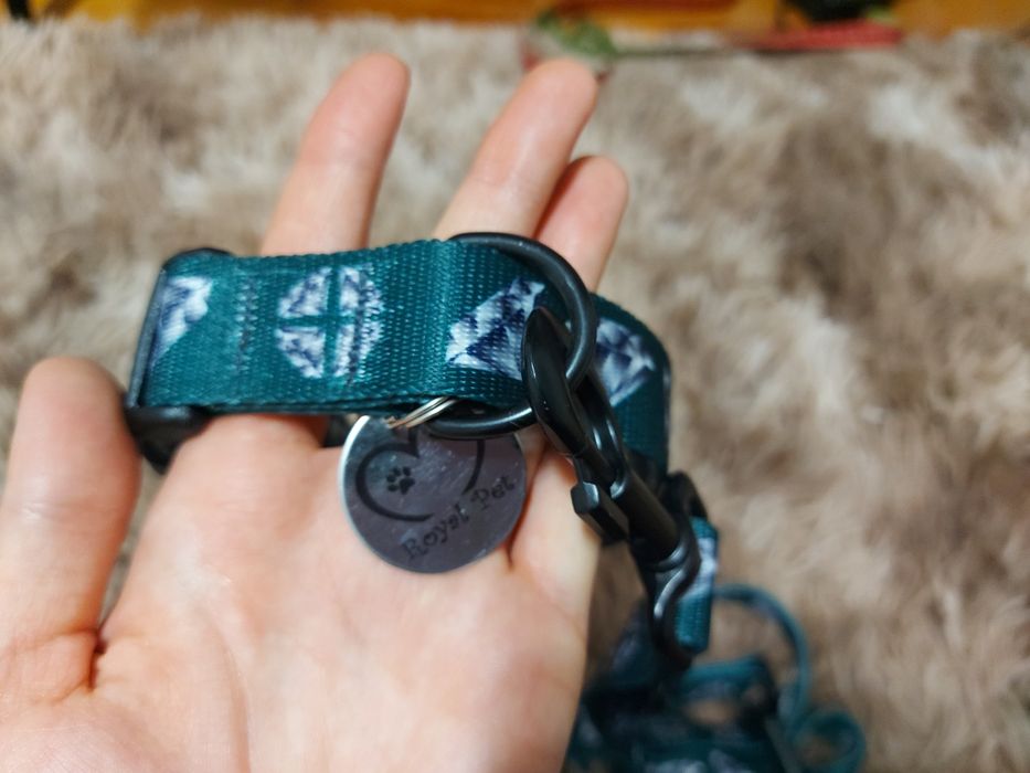 Obroża + smycz firmy Royal Pet/Royal Vision dla psa Diamond Peacock