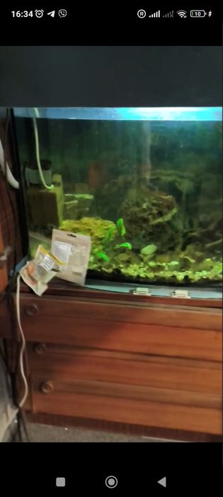 Аквариум с рыбками 120 л.