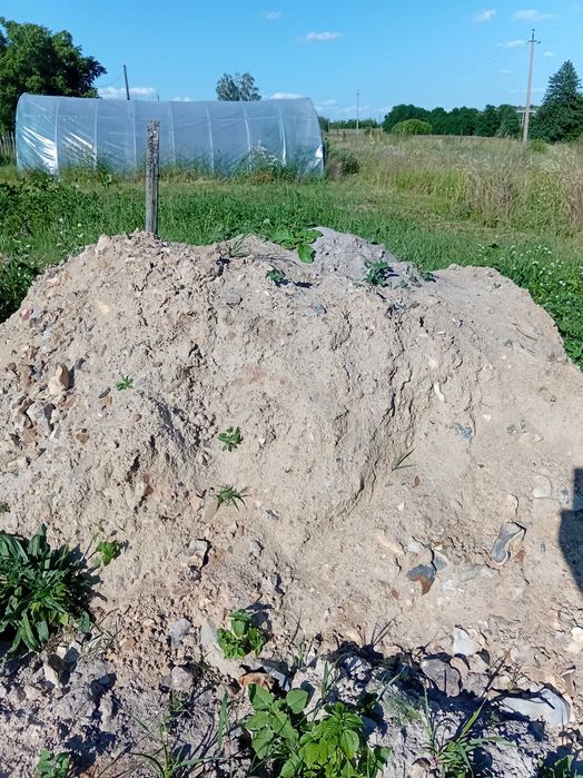 Пісок з камінням безкоштовно