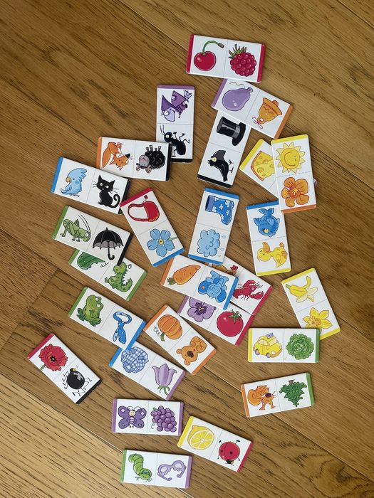 Domino kolorki zwierzęta Granna