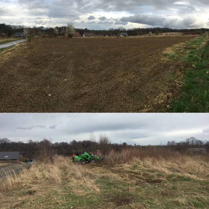 Karczowanie samosiejek niwelacja terenu przygotowanie pod wysiew trawy