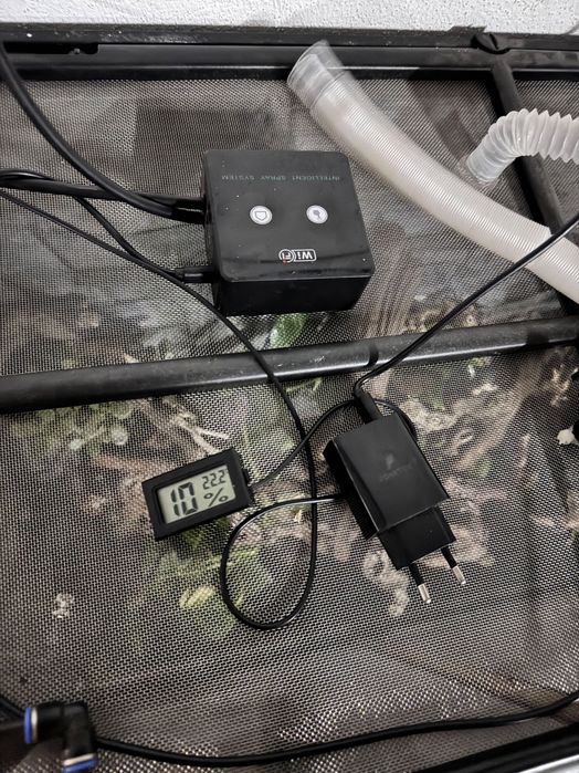 Terrario construído ha mão tudo a trabalhar