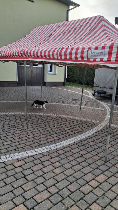 Namiot ekspresowy używany