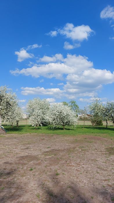 Dom siedlisko działka Siemkowo - Więcej