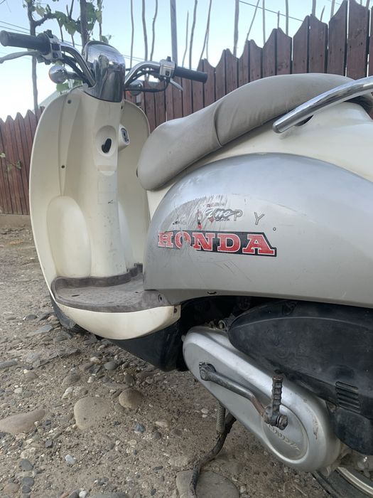 Honda crea scoopy af-55