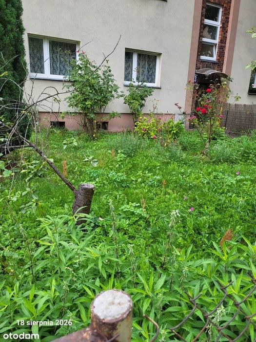 2 pokoje, 39,49 m2, parter, zielona okolica, do remontu