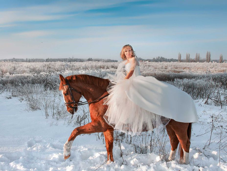 Фотосессії з кіньми професійні.