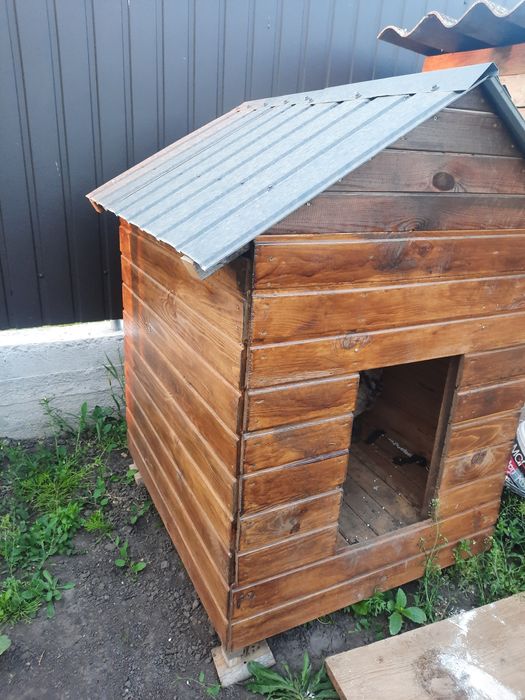 Продам буду для собаки