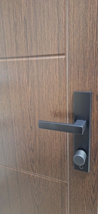 Польські вхідні металеві двері ERKADO