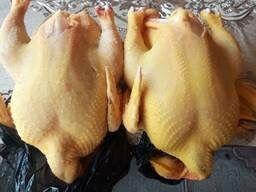 Кропивницький !!!Продаж Блойлера