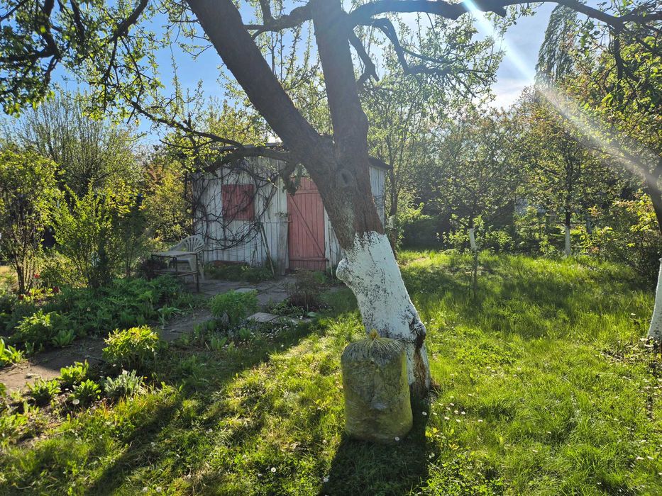 ROD "Pod Topolami" 270 m² - Widok 6