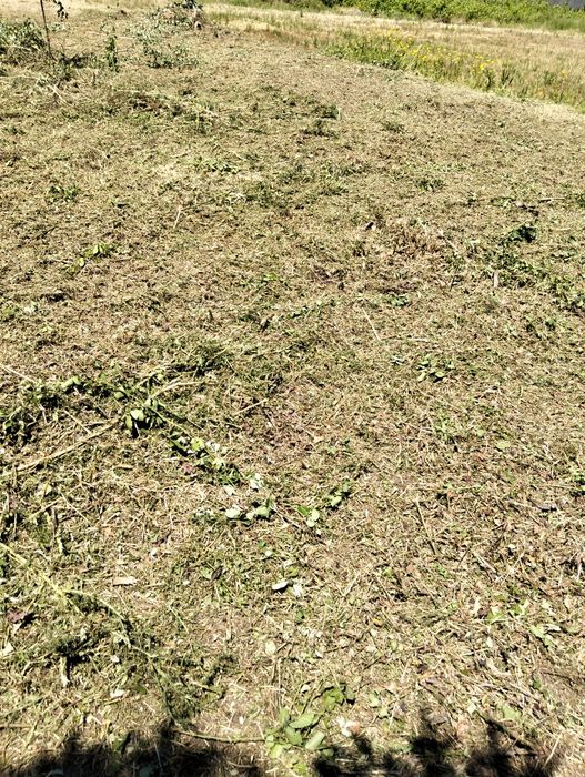 Jardinagem e limpezas