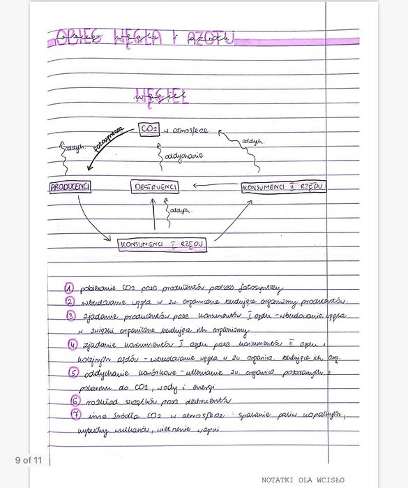 Notatki maturalne biologia; matura 2023 poziom rozszerzony