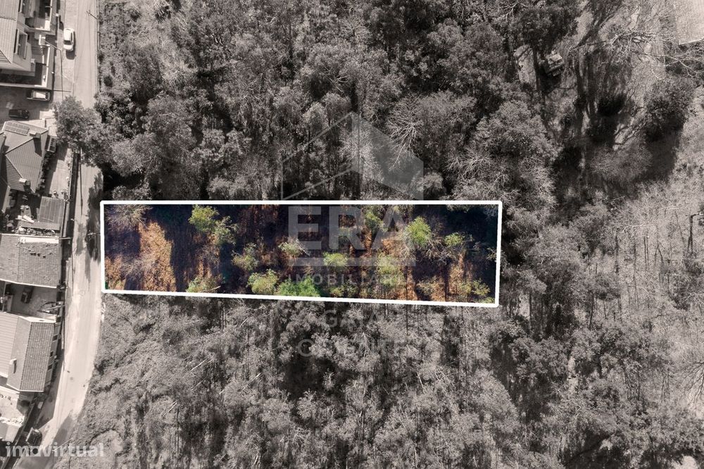 Terreno 1500 m² em Sanguedo