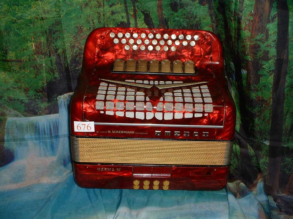 Concertina a venda n.676 Penedono • OLX Portugal