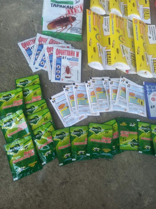 Від тараканів і мурах .