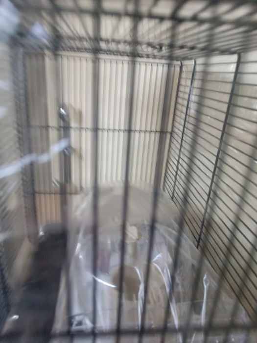 Klatka dla chomika Gino2