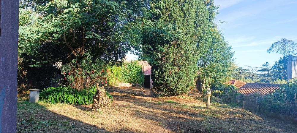 Limpeza de jardim e terrenos