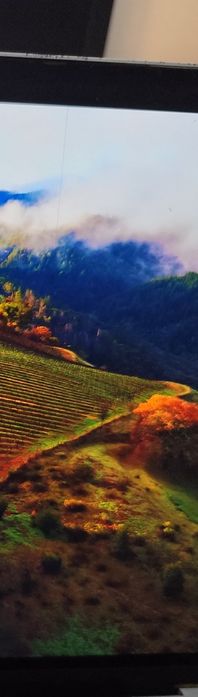 Vendo Ecrã para MacBook Pro 13 2018/2019