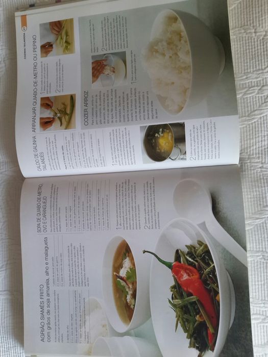 Grandes enciclopédias ( Cozinha/ nutrição )