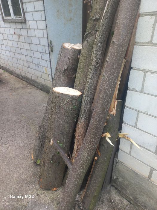Продам свежесрезанный кругляк липы .
