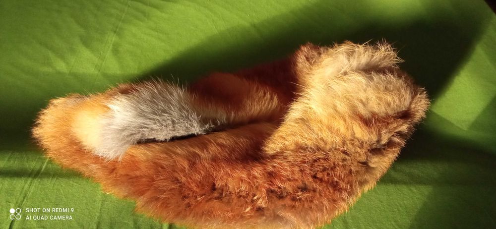 Estolas de pele genuína