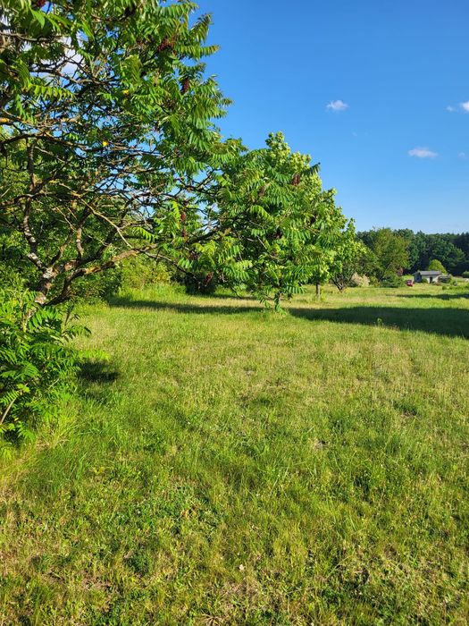 Działka budowlana 38 arów - Urzędów