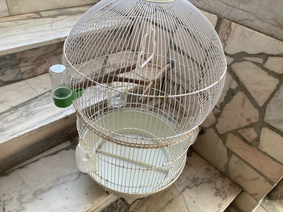 Gaiola usada negociavel