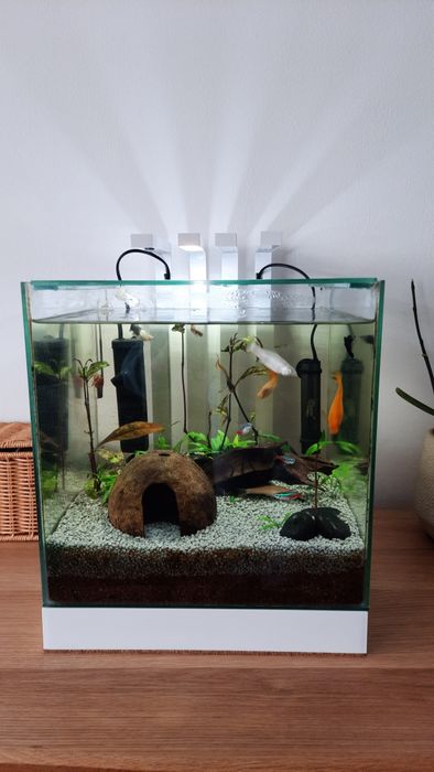 Aquário Completo e Pronto