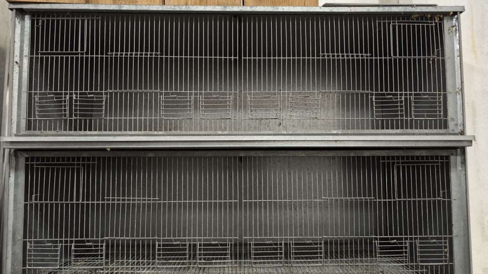 Viveiro para pássaros