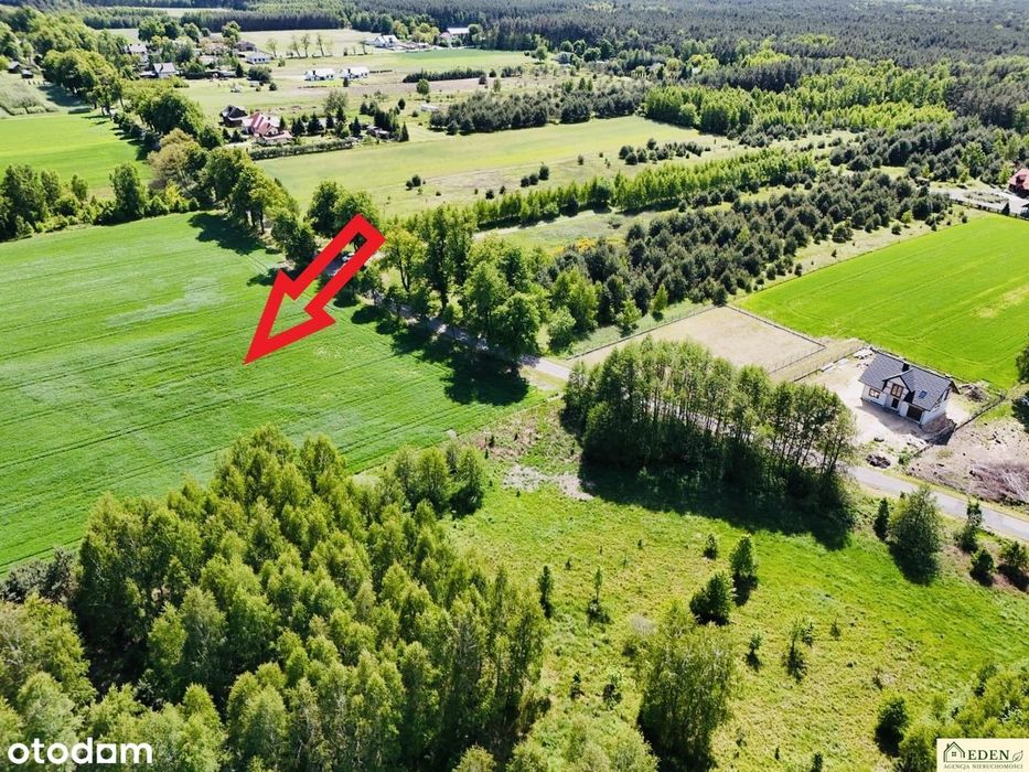 6 działek wydane WZ w Chlewiskach, gm. Kotuń - Widok 6