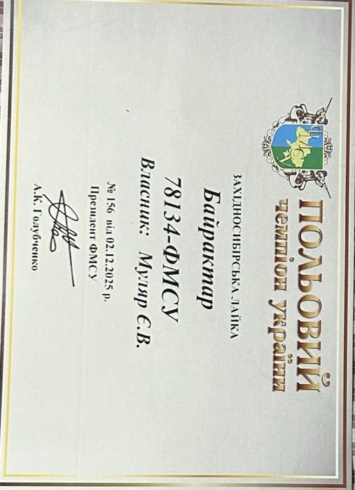 Лайка для в'язки трьох кратний Польовий Чемпіон