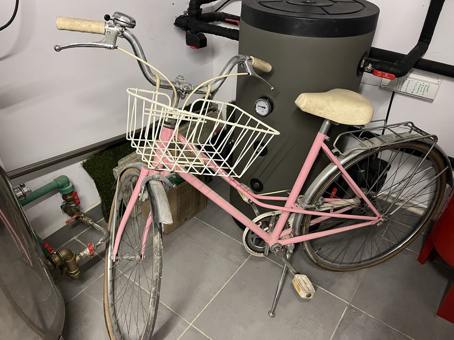 Bicicleta pasteleira