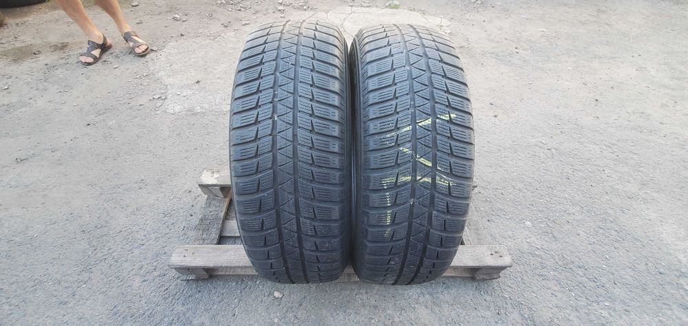 Зимові шини 225 65 R17 Falken EuroWinter HS449 Thailand