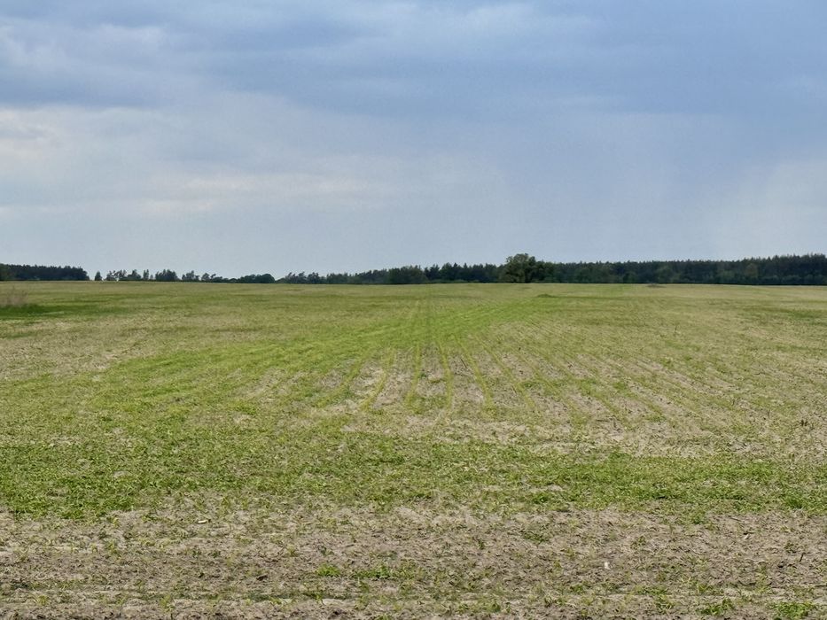 Земельна ділянка 27 га! Андріївка.