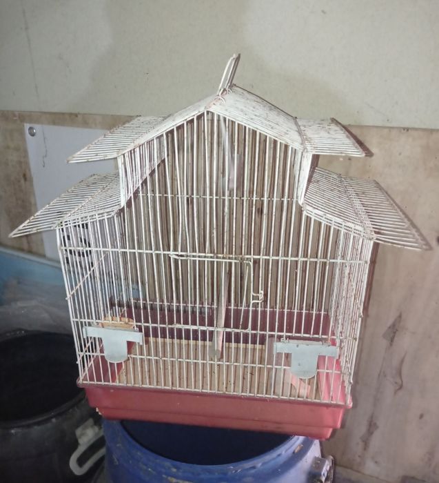 Gaiolas / Ninhos Roseicollis