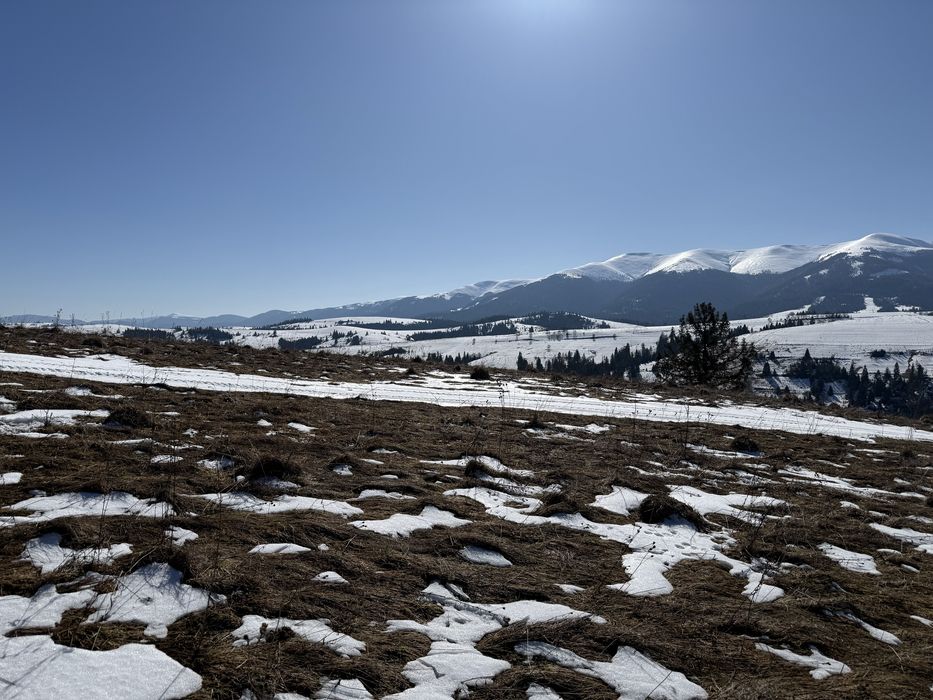 Продається ділянка осг в с. Пилипець