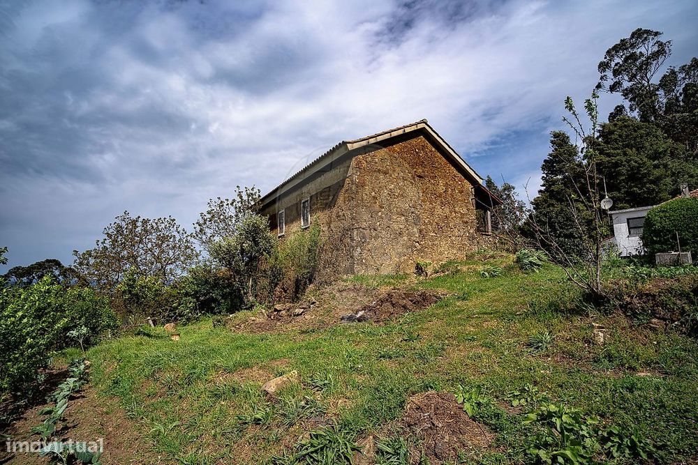 T3 Detached House for Sale