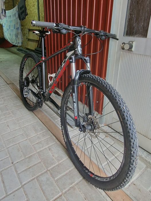 Procura-se novo dono Bicicleta btt