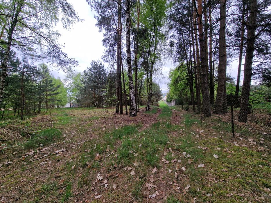 Działka rolno-budowlana 1,39 ha – Zawadki, gm. Susiec – media, las