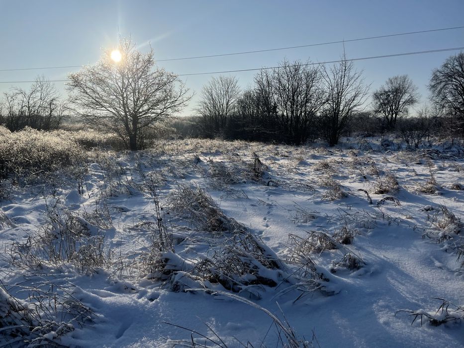 Земельна Ділянка 40 соток