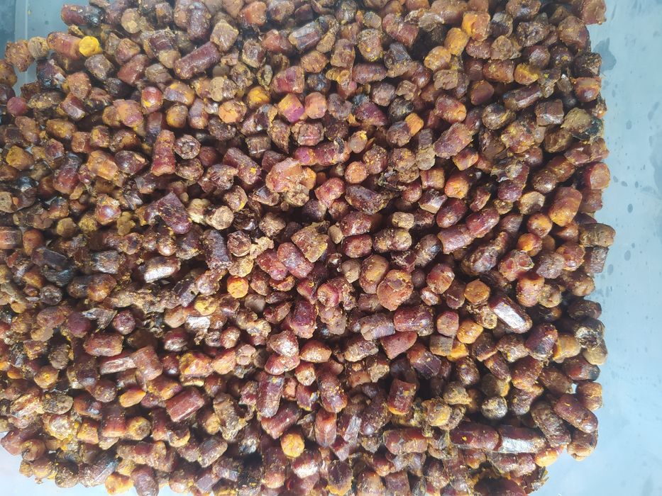 В продам бджолину пергу