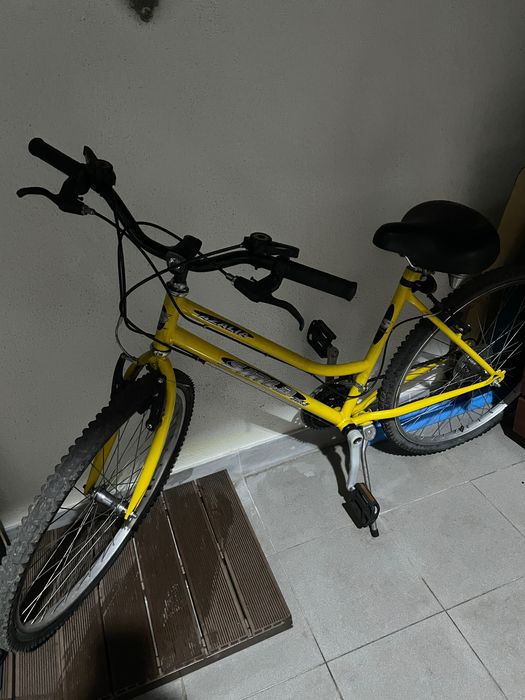 Bicicleta senhora