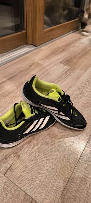Halówki Adidas copa indoor  41 jak nowe