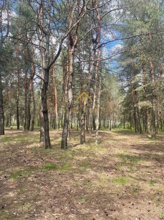 Великий масив землі під Забудову біля Житомирської траси