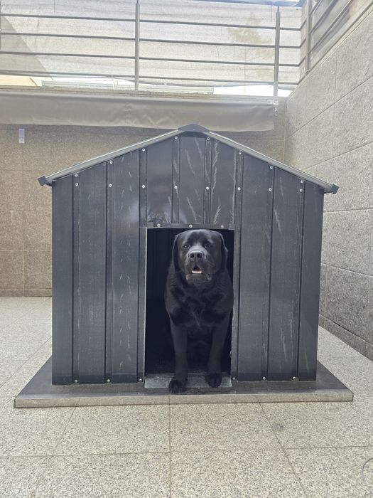 Casota

113x153x101 cm aço galvanizado