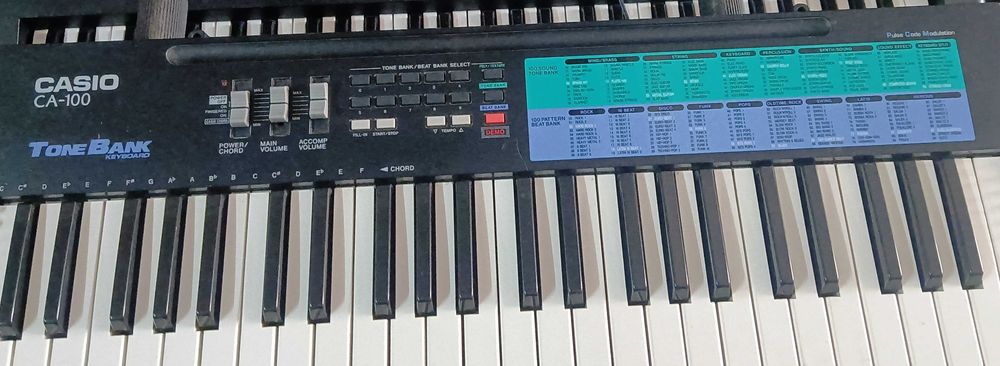 Teclado Casio CA-100 Tone Bank
